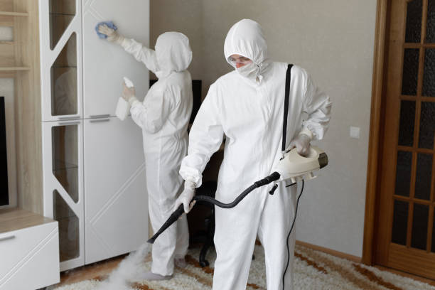 Mold Testing and Removal in Cherryland, CA